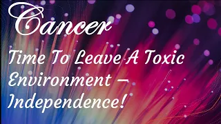 Cancer 💲💲💲  Time To  Leave A Toxic Environment✨ Independence & Wish Fulfillment✨