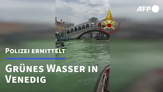 Wasser in Venedig grün verfärbt | AFP