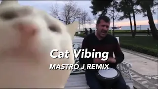 Cat Vibing To Ievan Polkka (House remix) Cat Vibing To Music | Cat Vibing Meme
