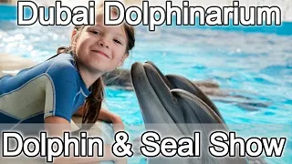 Dubai Dolphinarium Dolphin & Seal Show : Family Entertainment : Most Loved Dubai Tourist Attractions