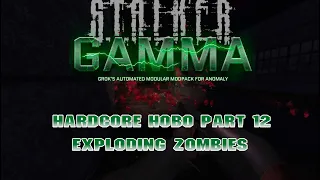 Stalker: GAMMA Hardcore Hobo Pt 12/? : Ecologist Pt 3