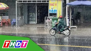 Nhiều nơi ở miền Tây có "mưa vàng" sau bao ngày nắng đổ lửa | THDT