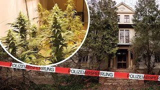 Found Abandoned Cannabis Farm inside old Mansion (Police Raid) | Urbex 420