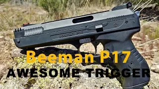 Beeman P17 The $30 Plinker With an AWESOME TRIGGER!