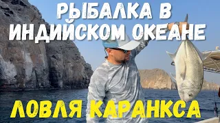 Рыбалка в Индийском Океане, ловля Каранкса.