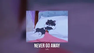 c-bool - never go away [REQUESTED]  (𝖘𝖑𝖔𝖜𝖊𝖉/𝖗𝖊𝖛𝖊𝖗𝖇)