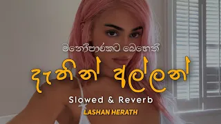 Lashan Herath - Dathin Allan | Slowed & Reverb