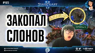 СЛОНОВОЕ ПОБОИЩЕ и последнее ЗвЗ в карьере Роуга в матчах корейских профессионалов в StarCraft II