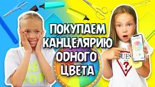 ПОКУПАЕМ Школьную Канцелярию ОДНОГО ЦВЕТА / Челлендж / Back to school