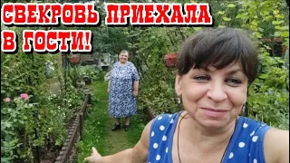 У нас гости. Приехала свекровь. Ревизия запасов. Голод нам не грозит. Жизнь семьи в деревне.