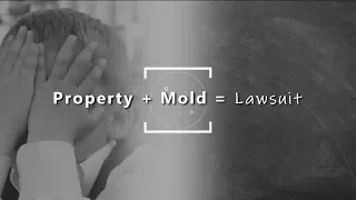 Property + Mold = Lawsuit