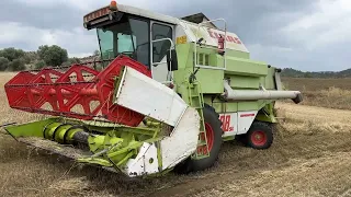 Harvesting Wheat - Claas Dominator 88SL Classic