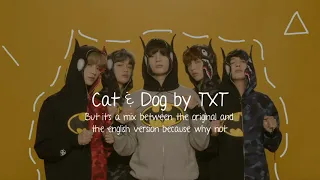 Cat & Dog by TXT, but it's a mix between the english version and the original