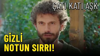 Perihan Notun Üstüne Düştü!  -  Çatı Katı Aşk  11.Bölüm