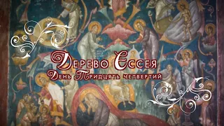 "Дерево Єссея" | День тридцять четвертий