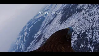 Perfect Peace (Lyric Video)