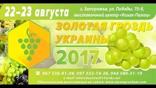 Золотая Гроздь Украины 2017 часть 2