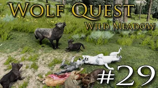 A Missing Pup on Our SUMMER Journey?! 🐺 WOLF QUEST: WILD MEADOW • #29