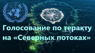 В СБ ООН 27 марта: Голосование по расследованию теракта на «Северном потоке» (рус. перевод, тайминг)