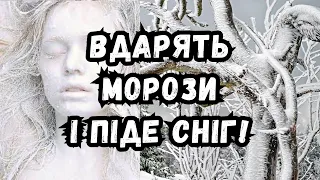 НЕГАЙНО! Вдарять морози і піде сніг: синоптик назвав дату, коли почнеться похолодання