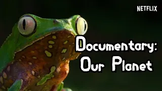 Documentary Our planet Chapter 1 A PLANET | in 10 minutes