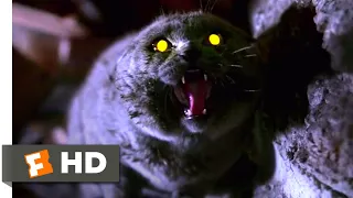 Pet Sematary (1989) - The Cat Comes Back Scene (2/10) | Movieclips