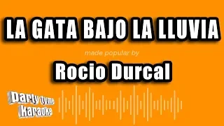 Rocio Durcal - La Gata Bajo La Lluvia (Versión Karaoke)