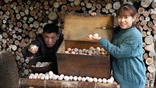 Harvesting chicken eggs, Cooking, Selling: The journey of chicken eggs | Daily Life