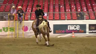 Derby 2019 - JULIA STEINBRECHER & SPARK N FOG score 206