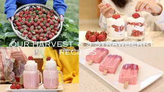 3 Delectable Strawberry Recipes to Savor| Bountiful Strawberry Harvest| Strawberry Recipes|Slow Life