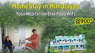 Homestay In Himalayas Rishikesh - Yog & Meditation - Stress Release by Music - Stay in Nature