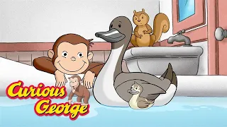 George's best guests 🐵 Curious George 🐵 Kids Cartoon 🐵 Kids Movies