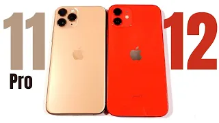 iPhone 11 Pro vs iPhone 12 - Don't Make A Mistake