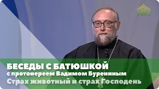 Беседы с батюшкой. 19 сентября 2019. Протоиерей Вадим Буренин. Страх животный и страх Господень