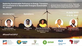 Sustainable Pathways to Energy Transition: Are Investments in Renewables Sustainable for Africa?