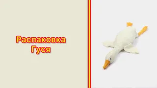 Распаковка Гуся