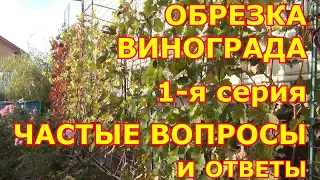 ч.1. ЧаВо: ОБРЕЗКА ВИНОГРАДА, когда НЕДОЗРЕЛА ЛОЗА и не опал лист. ЧАСТЫЕ ВОПРОСЫ. 1-я серия: