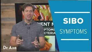 SIBO Symptoms: How to Get Rid of Bacterial Overgrowth