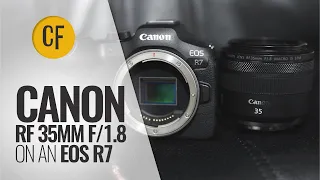 Canon RF 35mm f/1.8...on a 32.5mp Canon EOS R7