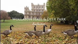 Wollaton Hall & Deer Park Autumn