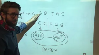 6.E: Mutations