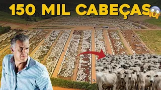 ESSA É A MAIOR FAZENDA DE GADO CONFINADO DO BRASIL! - 150 mil Cabeças de Gado!