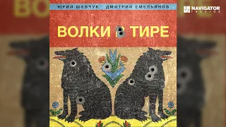 Юрий Шевчук, Дмитрий Емельянов – Дрон (Аудио)