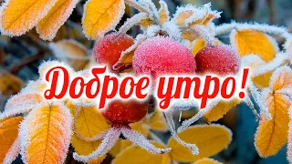 ОЧЕНЬ МУДРО СКАЗАНО! С ДОБРЫМ УТРОМ! "Мне стало нравиться молчать" ДОБРОЕ УТРЕЧКО ХОРОШЕГО ДНЯ!