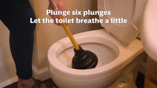 How To Fix A Clogged Toilet