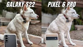 Samsung Galaxy S22 vs Google Pixel 6 Pro Camera Comparison