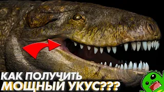 КАК ПОЛУЧИТЬ МОЩНЫЙ УКУС и как появились твои скулы?