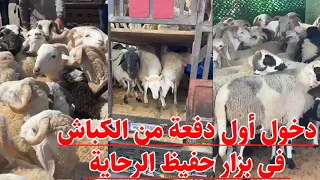 كبش العيد : دخول أول دفعة من الكباش خاصة بعيد الأضحى في بزار حفيظ الرحاية ..السعر إبتدأ من 68 حتى 72