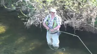 Barbenfischen mit der Fliege an der Rems