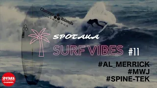 【SURF VIBES】#11  AL MERRICK「MWJ」「"SPINE-TEK"システム」を徹底解説！